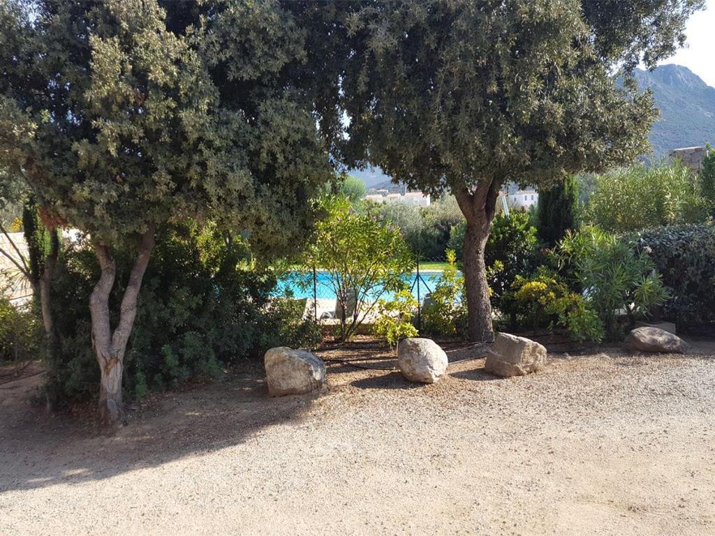 Le Bois De Capra Scorsa Villa Belgodère Exteriör bild