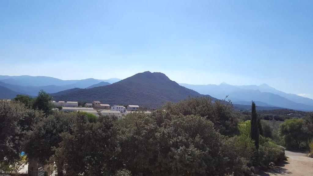 Le Bois De Capra Scorsa Villa Belgodère Exteriör bild