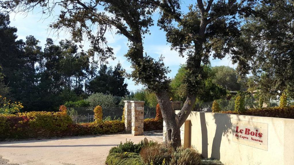 Le Bois De Capra Scorsa Villa Belgodère Exteriör bild