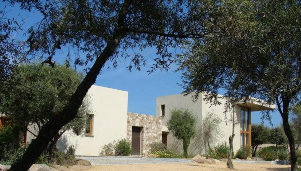 Le Bois De Capra Scorsa Villa Belgodère Exteriör bild